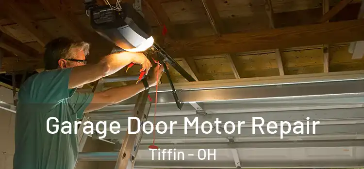  Garage Door Motor Repair Tiffin - OH